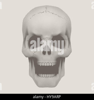 Human skull in vintage halftone style. Stock Photo