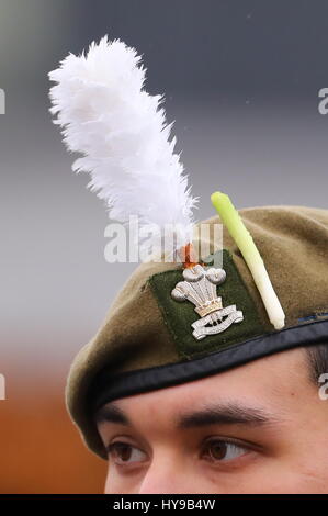 Her Majesty Queen Elizabeth presents leeks to the 1st Battalion Royal Welsh to mark St. David's Day at Jellalabad Barracks, Tidworth.  Featuring: Atmosphere Where: Tidworth, United Kingdom When: 03 Mar 2017 Stock Photo