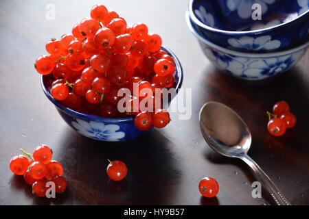 Against the light view of redcurrant berries in a ceramics bowl Stock Photo