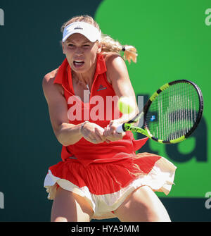 Key Biscayne, Florida, USA. 30th Mar, 2017. Caroline Wozniacki, of Denmark, hits a backhand against Karolina Pliskova, of Czech Republic, during a semi-final match at the 2017 Miami Open presented by Itau professional tennis tournament, played at Crandon Park Tennis Center in Key Biscayne, Florida, USA. Wozniacki d Pliskova 5-7, 6-1, 6-1. Mario Houben/CSM/Alamy Live News Stock Photo