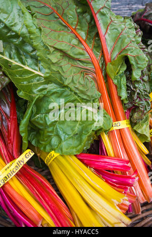 Rainbow Chard on Display for Purchase Stock Photo