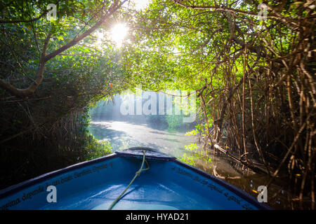 A tunnel of mangroves awaits a boat in the Tovara Natural Reserve in San Blas, Mexico. Stock Photo