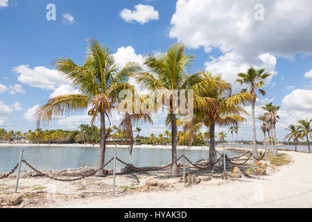 Beautiful tropical beach in Miami, Florida, United States Stock Photo