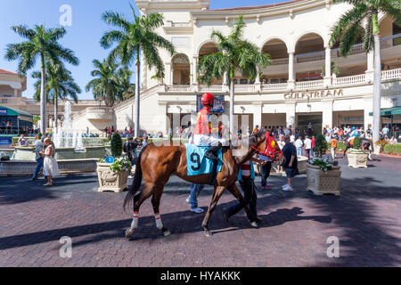 HALLANDALE BEACH, USA - MAR 11, 2017: Racing horses show at the Gulfstream Park race track in Hallandale Beach, Florida, United States Stock Photo