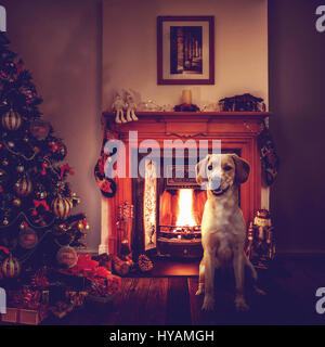 OROKLINI, CYPRUS: Rescue dog Barley stands in front of a fireplace at Christmas. MEET the rescue dogs who could be the coolest pooches with no home on the planet. From mutt Barney hanging out in a trilby hat to one-legged Fergus who was transported back to the old streets of Dublin a canine-loving Brit has produced these quirky pictures in a bid to raise money for a cash-strapped home for abandoned dogs.  Using a “spot” of digital trickery Cyprus based former British youth boxing champion, martial arts instructor and photographer Stuart Holroyd (34), created these eye-catching pictures to rais Stock Photo