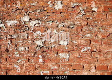 Old, dirty brick wall for ads, red Stock Photo