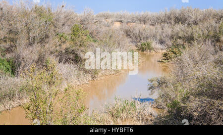 Travel to Middle East country Kingdom of Jordan - Jordan river near Baptism Site Bethany Beyond the Jordan (Al-Maghtas) in sunny winter day Stock Photo