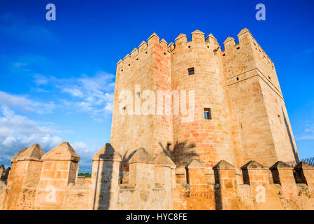 Cordoba, Spain, Andalusia. Callahora Tower and Roman Bridge on Guadalquivir river. Stock Photo