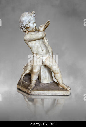 Roman statue of a Boy strangling a goose, a Roman copy of a late 3rd century Hellenistic bronze statue attributed to Boethos. Excavated from the Villa Stock Photo