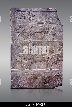 Stone relief sculptured panel of aa Assyrian Chariot. From the palace of Ashurnasirpal II  room VI/T1, Niniveh, third quarter of the 8th century BC. i Stock Photo