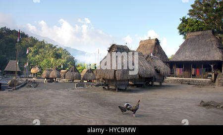 Bena a traditional village with grass huts of the Ngada people and two chickens on the square in Flores near Bajawa, Indonesia. Stock Photo