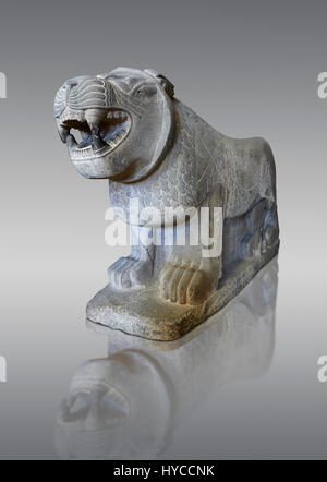 Lion sculptures from the city gate of  Sam'al - Zincirli. Neo Syro Hittite. Basalt 8th century BC. Pergamon Museum Berlin. Stock Photo