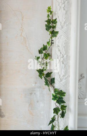White art stucco gypsum wall with a grean loach branch on it Stock Photo