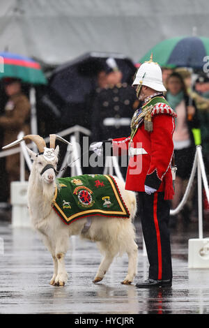 Her Majesty Queen Elizabeth presents leeks to the 1st Battalion Royal Welsh to mark St. David's Day at Jellalabad Barracks in Tidworth  Featuring: Atmosphere Where: Tidworth, United Kingdom When: 03 Mar 2017 Stock Photo