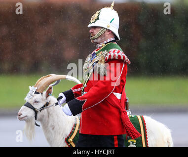 Her Majesty Queen Elizabeth presents leeks to the 1st Battalion Royal Welsh to mark St. David's Day at Jellalabad Barracks in Tidworth  Featuring: Atmosphere Where: Tidworth, United Kingdom When: 03 Mar 2017 Stock Photo