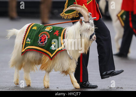 Her Majesty Queen Elizabeth presents leeks to the 1st Battalion Royal Welsh to mark St. David's Day at Jellalabad Barracks in Tidworth  Featuring: Atmosphere Where: Tidworth, United Kingdom When: 03 Mar 2017 Stock Photo