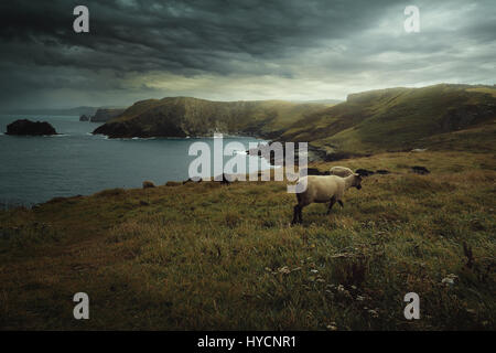 Dramatic cloudscape over Cornwall green coast Stock Photo
