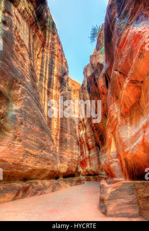 Road inside the Siq Canyon at Petra Stock Photo