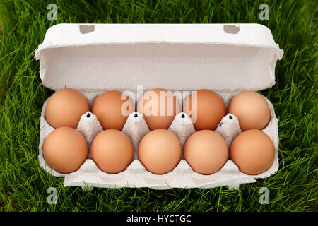 Natural brown eggs box in green grass Stock Photo