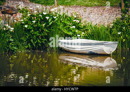 Old boat anchored in the pond Stock Photo