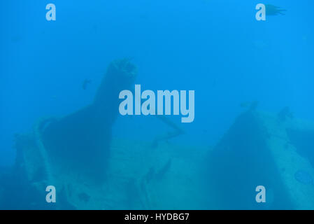 Underwater scenery with sunken ship and fishes in blue water Stock Photo