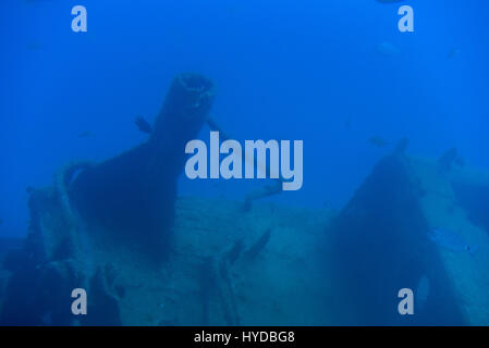 Underwater scenery with sunken ship and fishes in blue water Stock Photo
