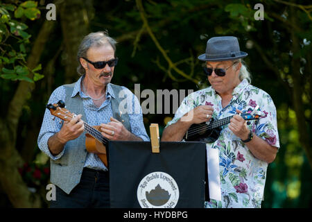 Two men playing ukulele from the rye ukulele experiment. Rye, East Sussex, UK Stock Photo