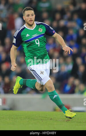 Northern Ireland's Conor Washington during a match in Belfast. Stock Photo