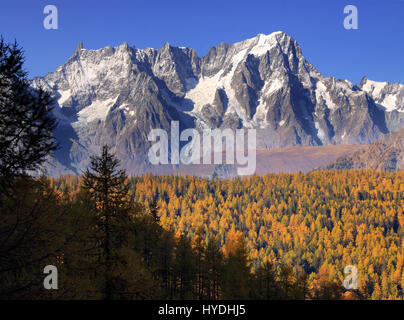 A view of the majestic northeastern portion of the Monte Bianco/Mont Blanc - from Dente del Gigante/Dent du Geant to Les Grandes Jorasses, with the fi Stock Photo