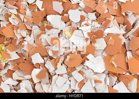A very close view of crushed egg shells. Stock Photo