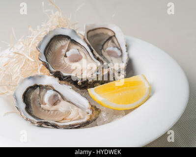 Fresh oysters with lemon on white plate in restaurant. Natural light Stock Photo