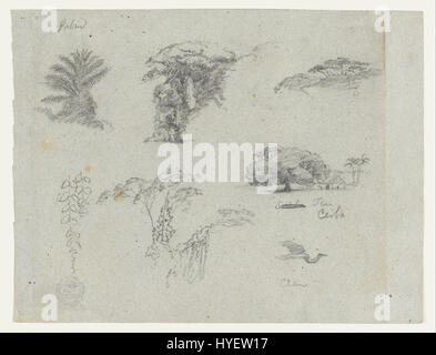 Frederic Edwin Church   Sketches from South America. Botanical sketches. Flying crane.   Google Art Project Stock Photo