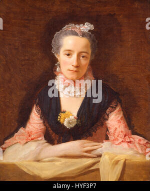 Allan Ramsay   Lady in a Pink Silk Dress   Google Art Project Stock Photo