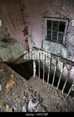 LICHFIELD, UK: A creepy staircase. THE MYSTERIOUS and decrepit remains of an abandoned animal rescue home have been captured by an aghast urban explorer. Inside this house of horrors, pictures show the floor covered in up to eight inches of faeces and the complete skeletons of cats and dogs, with one unfortunate canine still inside a CAGE it had been trapped inside for at least thirty years. Other creepy images show the personal effects preserved from the last owner, with a television, piano, pictures of pets and loved ones, but most sinister of all, mountains of cages that would have once hou Stock Photo