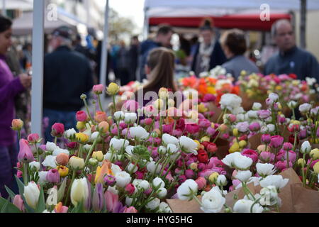 Farmer's Market Flowers Stock Photo