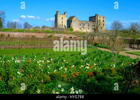 Helmsley Castle overlooking the Helmsley Walled Garden in early spring Stock Photo