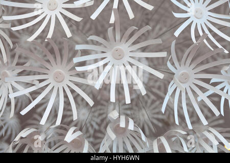 White plastic flowers, detail from the chandelier Stock Photo