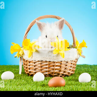 Cute Easter Bunny sitting in a wicker basket  with colored eggs around Stock Photo