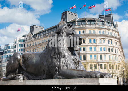 Landseer Lions. Trafalgar Square Lions surrounding Nelson's Column, City of Westminster, London, England Stock Photo