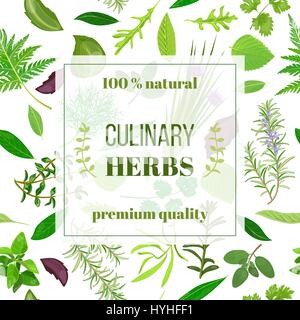 Cooking herbs seamless pattern vector set Stock Vector