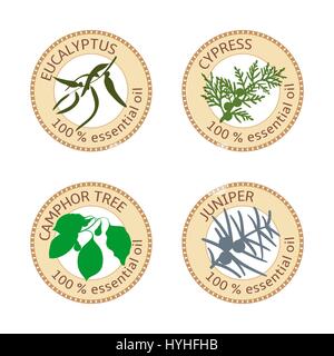 Set of flat essential oil labels. 100 percent. Eucalyptus, cypress, camphor tree, juniper Stock Vector