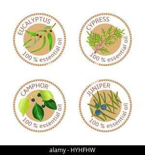Set of essential oils labels. Eucalyptus, cypress, camphor, juniper Stock Vector