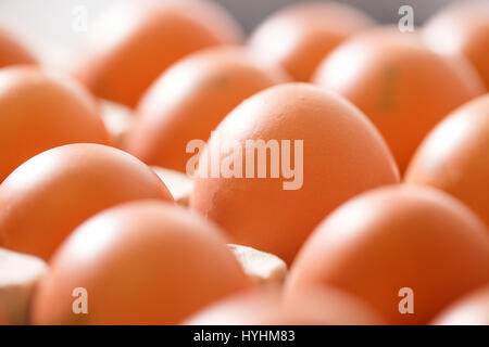 Raw and fresh, labeled organic chicken eggs packed in neat egg holders, ready to be transported and sold to consumers. Agribusiness, food production,  Stock Photo