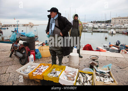 fishermen at work, port, Trani, Puglia, Italy, Europe Stock Photo