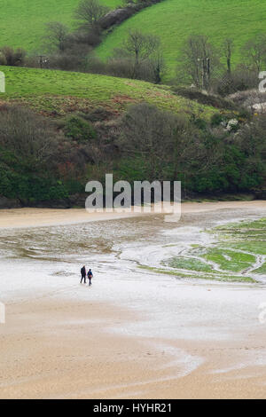 Two people walking Gannel Estuary at low tide. Cornwall. Stock Photo