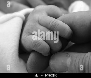 Newborn infant hand grabbing adult finger Stock Photo