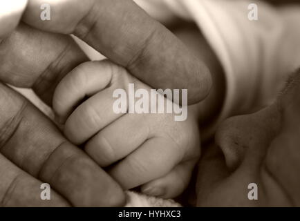 Newborn infant hand grabbing adult finger Stock Photo