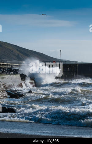 Aberystwyth Wales UK, Tuesday 04 April 2017 UK Weather: Blustry cold northerly winds whip up the waves crashing into the promenade under blue skies in Aberystwyth on the west Wales coast Credit: keith morris/Alamy Live News Stock Photo