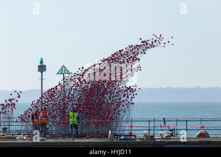 Thames Estuary, Essex, UK. 5th Apr, 2017. 14-18 Now Exhibition of Ceramic Poppies under construction on an old MoD pier at Shoeburyness in Essex on the Thames Estuary. Originally part of the 2014 Tower of London display this section has been travelling the country. The exhibition runs from 12th April until 25th June and is free to view Credit: Timothy Smith/Alamy Live News