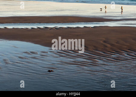 Two people and a dog running on sandy beach at low tide at sunset by the sea Stock Photo